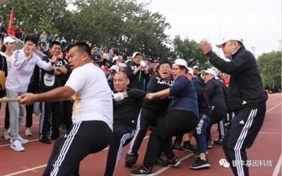 1543397294662242.jpg SLM0825Q3}NRPSE`V)L)GON.jpg