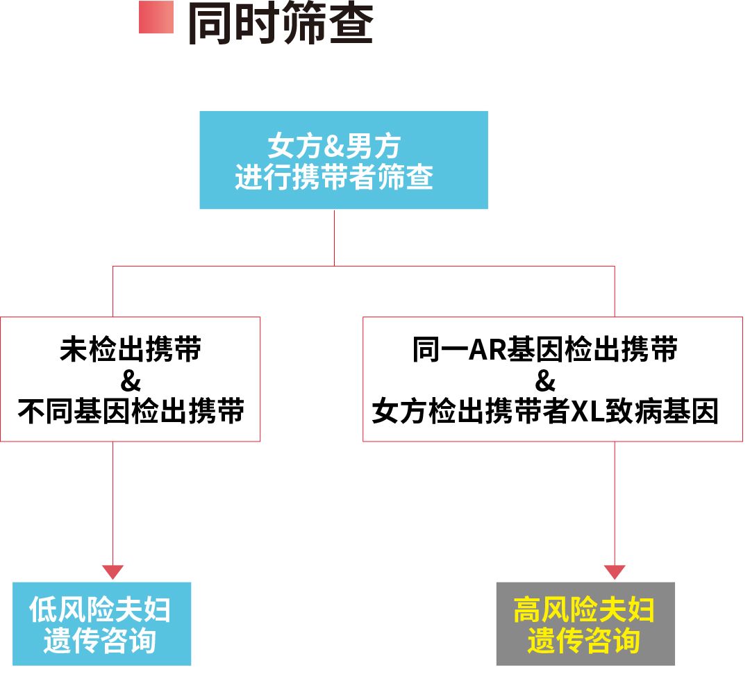 1743150619790166.jpg 789.jpg